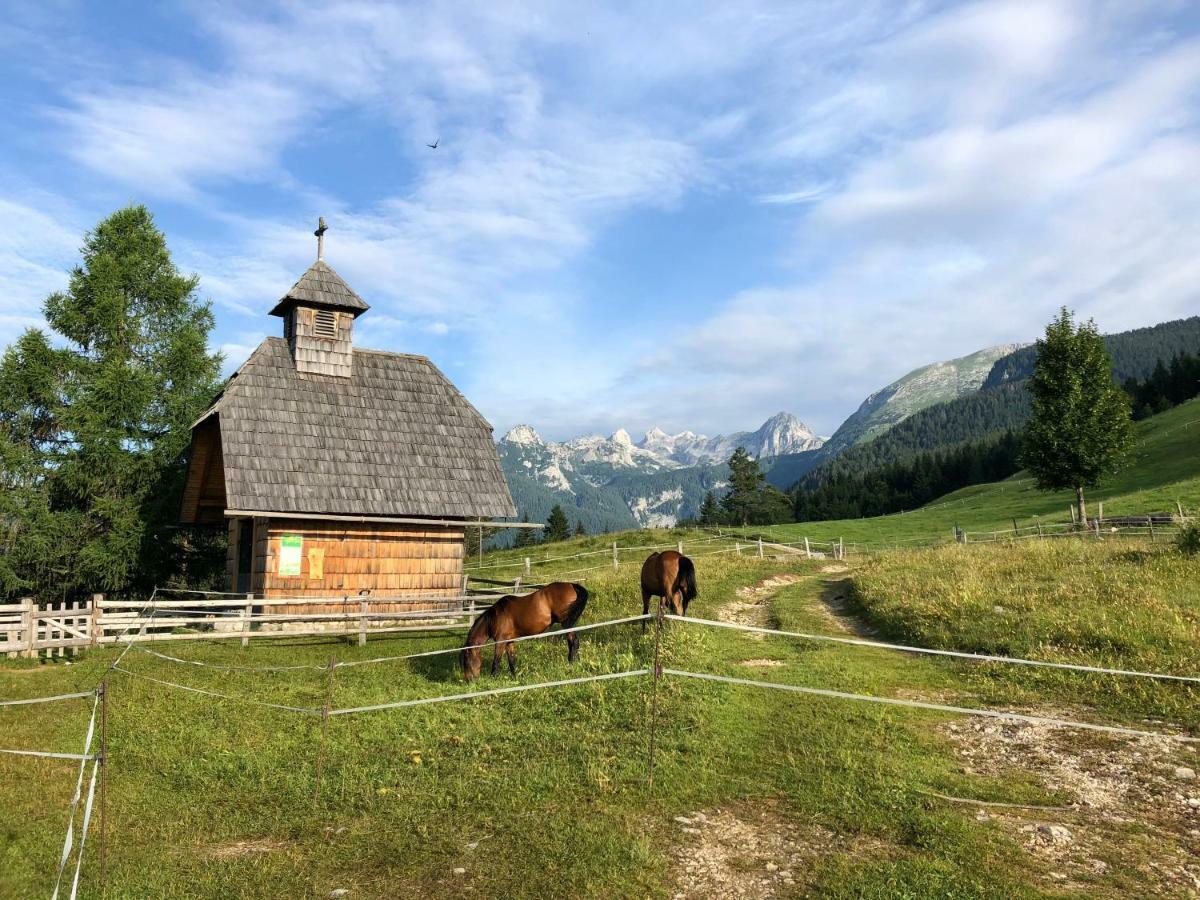 Holiday House Franc Средня-Вас-в-Бохиню Экстерьер фото
